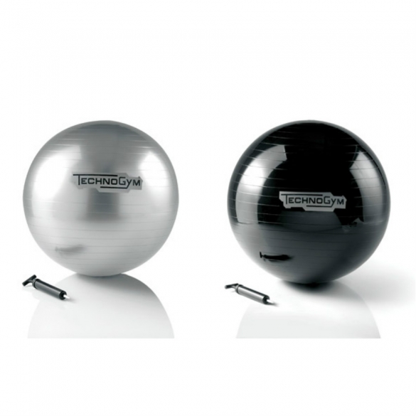 Technogym Wellness Ball Training 55 cm zilver kopen? Bestel bij
